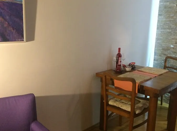 Boris Apartament Ni